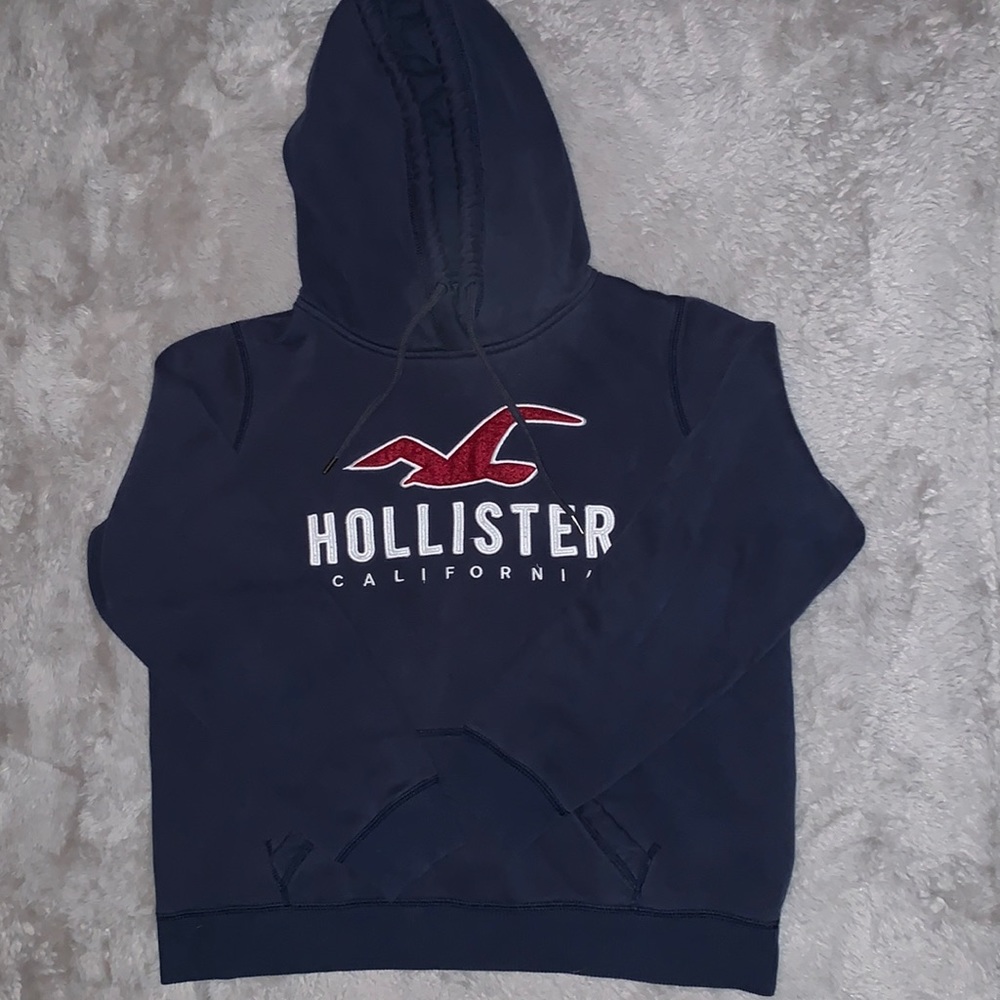 Blue Hollister Hoodie